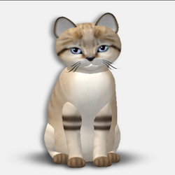 Recessive Fur