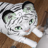 TKP - The Kitty Pages