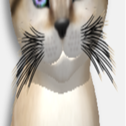 Recessive Whisker