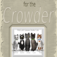 Book KittyCatS! for Clowders