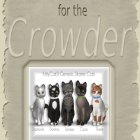 Book KittyCatS! for Clowders