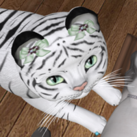 KittyCatS! Couture Kits